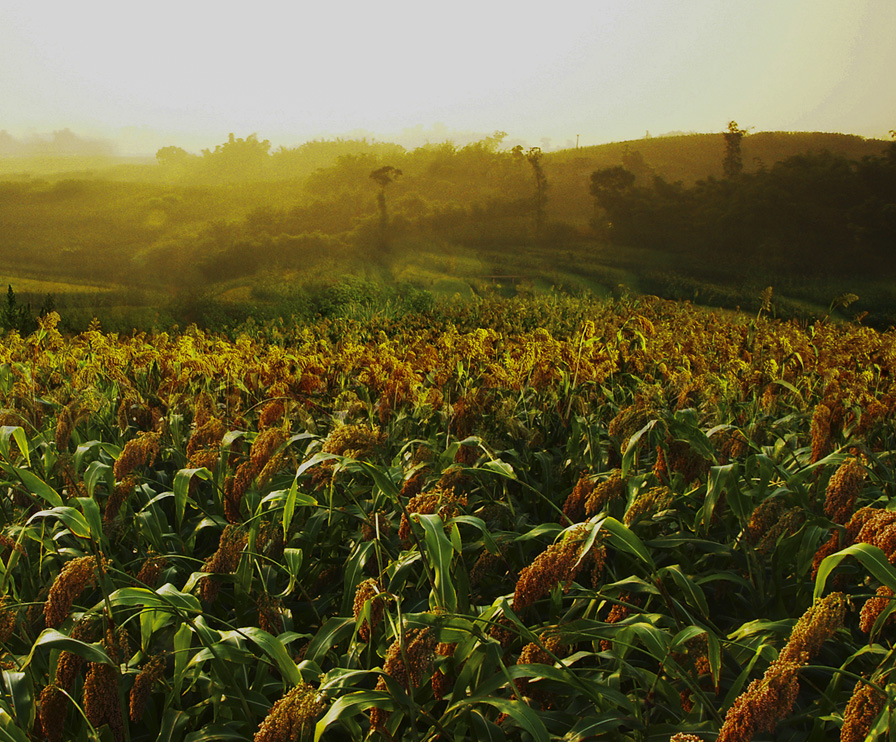 中国·5163银河手机版(股份)有限公司-官方网站