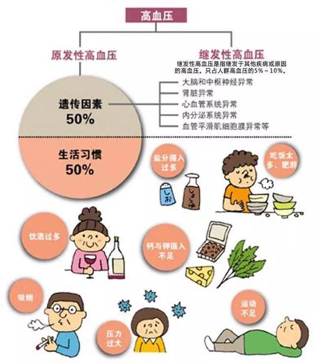 皇冠·体育(中国)官方网站-Crown Sports