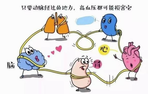 皇冠·体育(中国)官方网站-Crown Sports